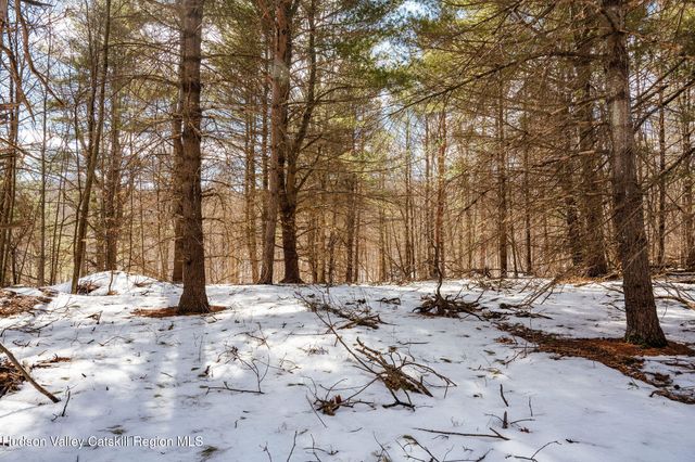 Tbd Strong Road, Cornwallville, NY 12418