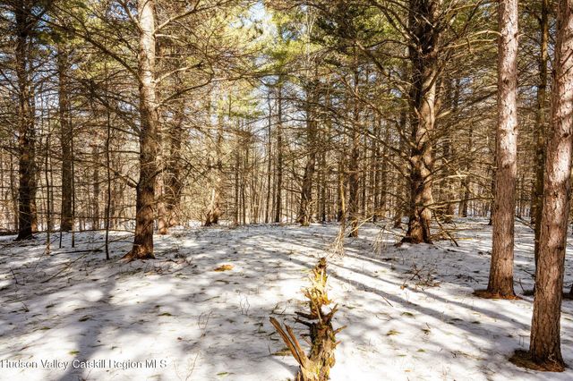 Tbd Strong Road, Cornwallville, NY 12418