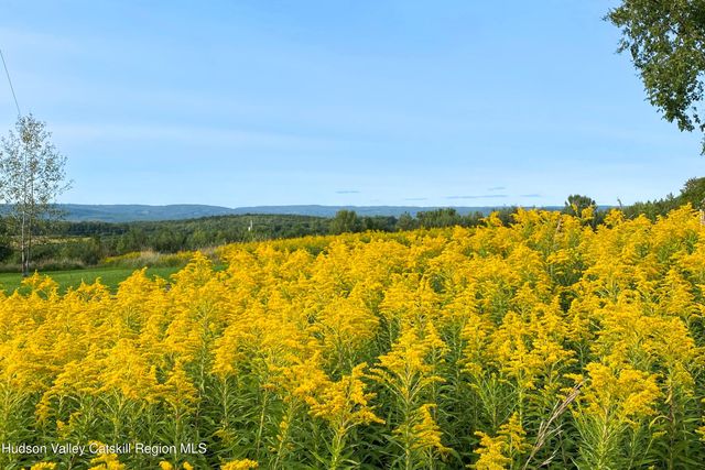 Tbd Strong Road, Cornwallville, NY 12418