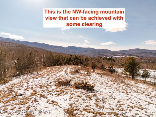 Tbd Strong Road, Cornwallville, NY 12418