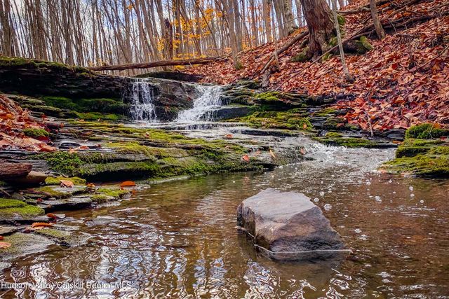 Tbd Strong Road, Cornwallville, NY 12418