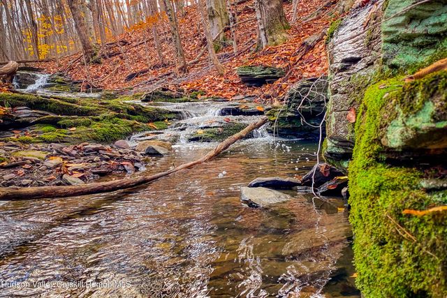 Tbd Strong Road, Cornwallville, NY 12418