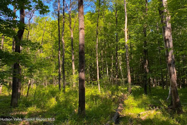 Tbd Strong Road, Cornwallville, NY 12418