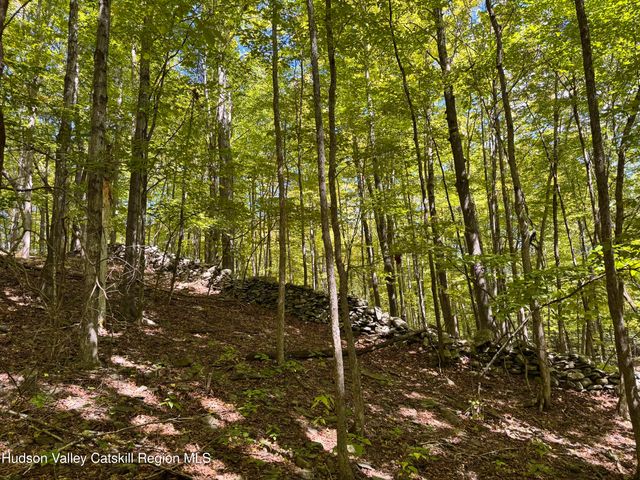 Tbd Strong Road, Cornwallville, NY 12418