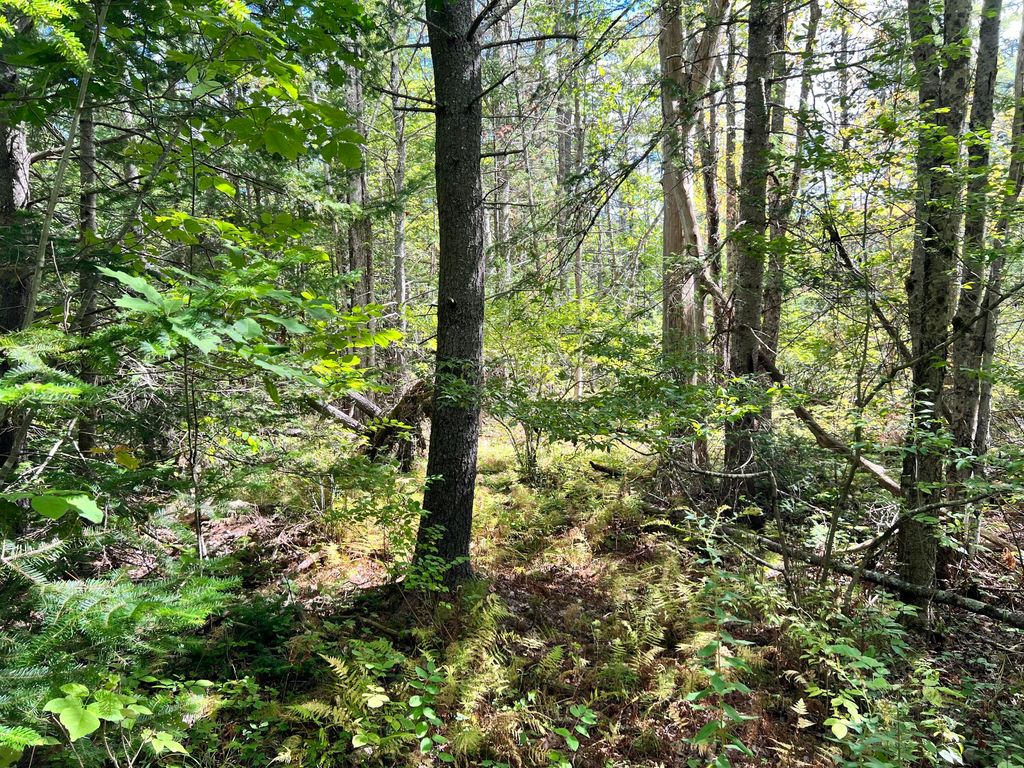 209AB E Brown's Point Road E, Bowdoinham, ME 04008 — exterior