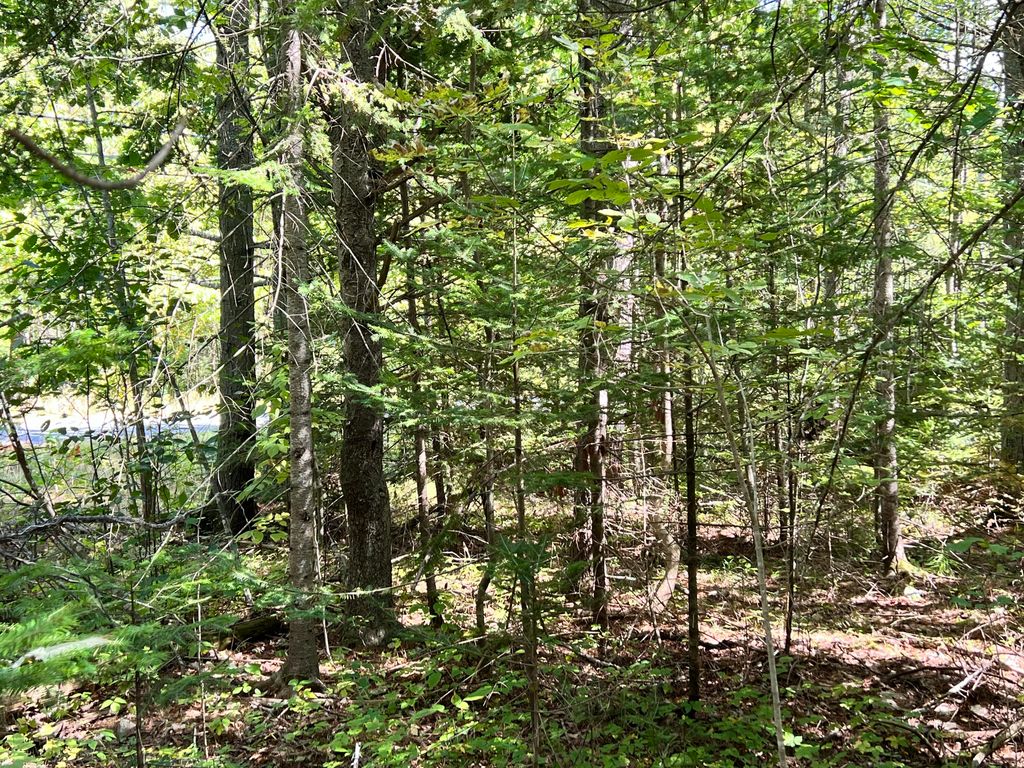 209AB E Brown's Point Road E, Bowdoinham, ME 04008 — photo 4