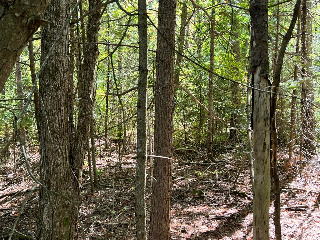 209AB E Brown's Point Road E, Bowdoinham, ME 04008 — photo 5