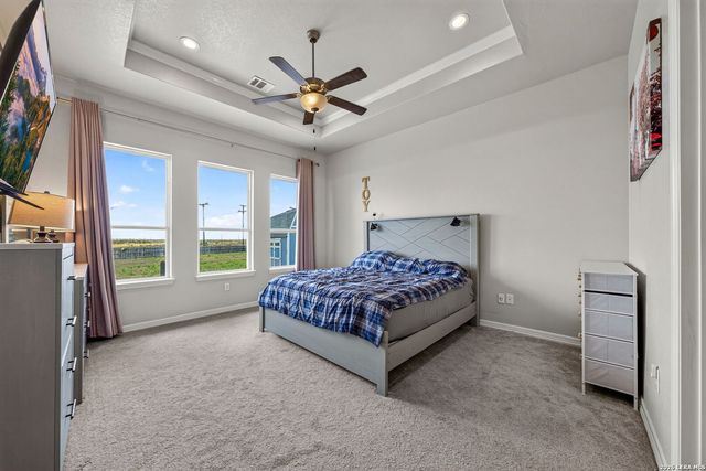 726 Abbott Cv, St Hedwig, TX 78152