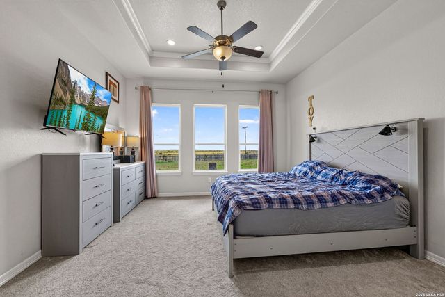 726 Abbott Cv, St Hedwig, TX 78152