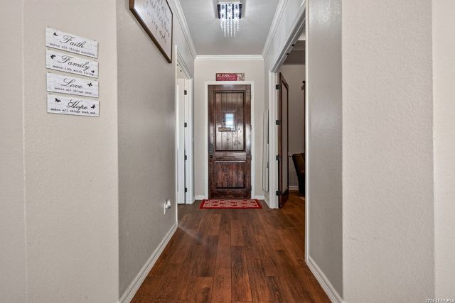 726 Abbott Cv, St Hedwig, TX 78152