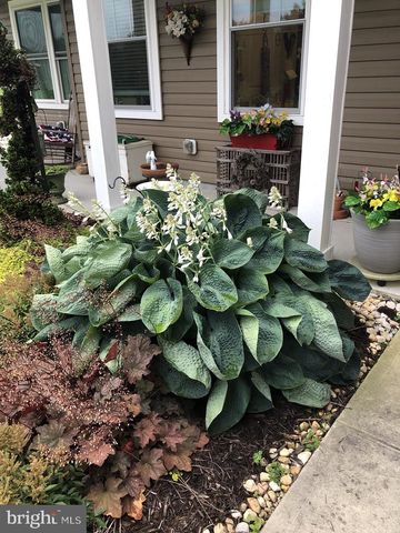 11910 BACK CREEK RD, Bishopville, MD 21813