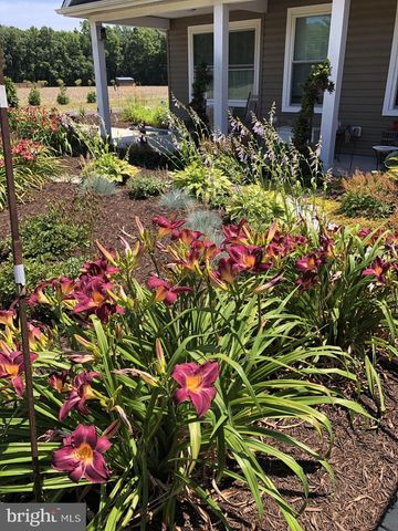 11910 BACK CREEK RD, Bishopville, MD 21813