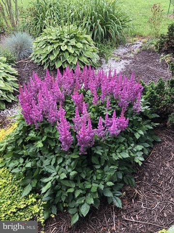 11910 BACK CREEK RD, Bishopville, MD 21813