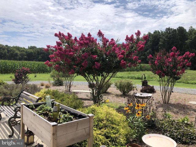 11910 BACK CREEK RD, Bishopville, MD 21813