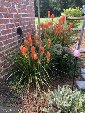 11910 BACK CREEK RD, Bishopville, MD 21813