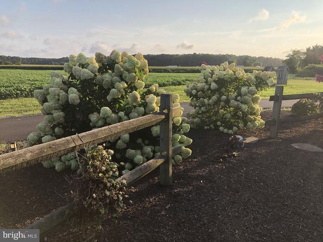 11910 BACK CREEK RD, Bishopville, MD 21813