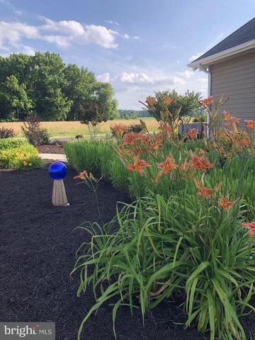 11910 BACK CREEK RD, Bishopville, MD 21813