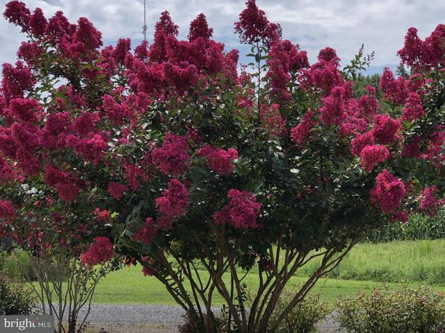 11910 BACK CREEK RD, Bishopville, MD 21813