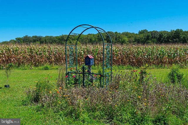 11910 BACK CREEK RD, Bishopville, MD 21813