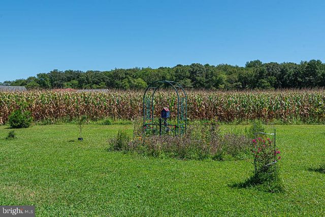 11910 BACK CREEK RD, Bishopville, MD 21813