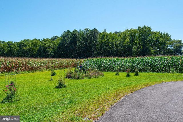 11910 BACK CREEK RD, Bishopville, MD 21813