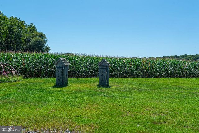 11910 BACK CREEK RD, Bishopville, MD 21813