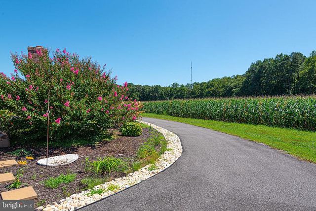 11910 BACK CREEK RD, Bishopville, MD 21813