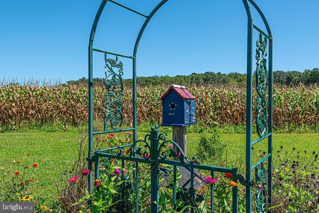 11910 BACK CREEK RD, Bishopville, MD 21813