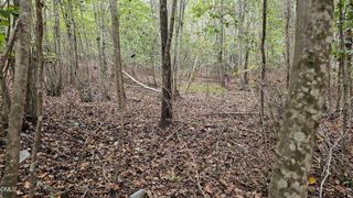 0 Gilliland Street, Warrenton, NC 27589