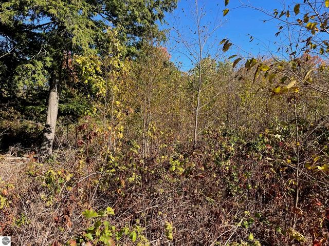 8784 Hemlock Hill Drive, Traverse City, MI 49685