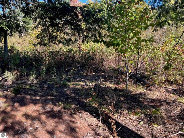 8784 Hemlock Hill Drive, Traverse City, MI 49685