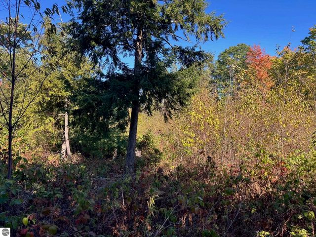 8784 Hemlock Hill Drive, Traverse City, MI 49685