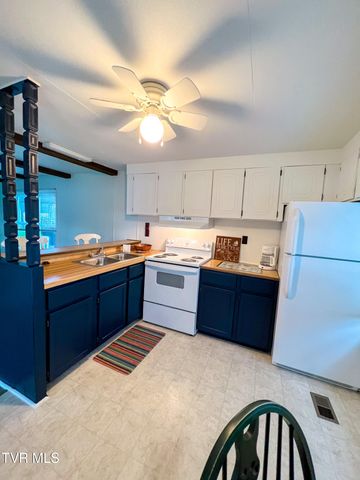 613 Painter Creek Road, Bristol, TN 37620