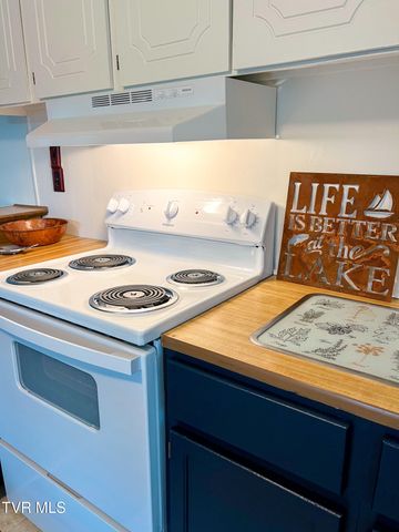 613 Painter Creek Road, Bristol, TN 37620