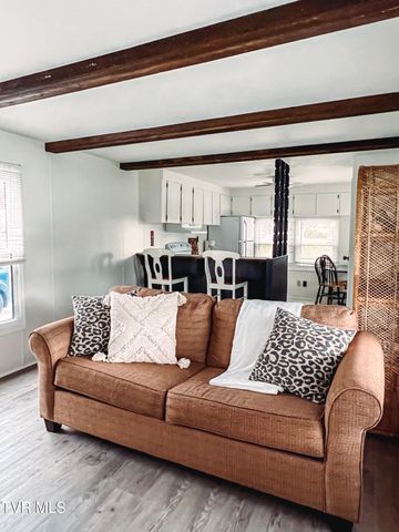 613 Painter Creek Road, Bristol, TN 37620