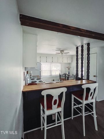 613 Painter Creek Road, Bristol, TN 37620