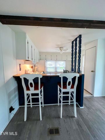 613 Painter Creek Road, Bristol, TN 37620