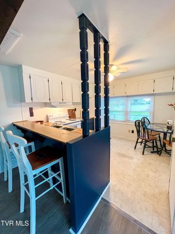 613 Painter Creek Road, Bristol, TN 37620