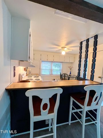 613 Painter Creek Road, Bristol, TN 37620