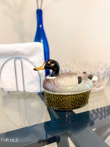 613 Painter Creek Road, Bristol, TN 37620