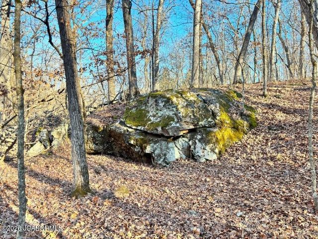 TBD DOVER DR., Holts Summit, MO 65043