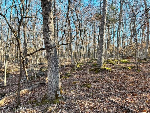 TBD DOVER DR., Holts Summit, MO 65043