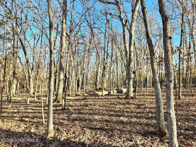 TBD DOVER DR., Holts Summit, MO 65043