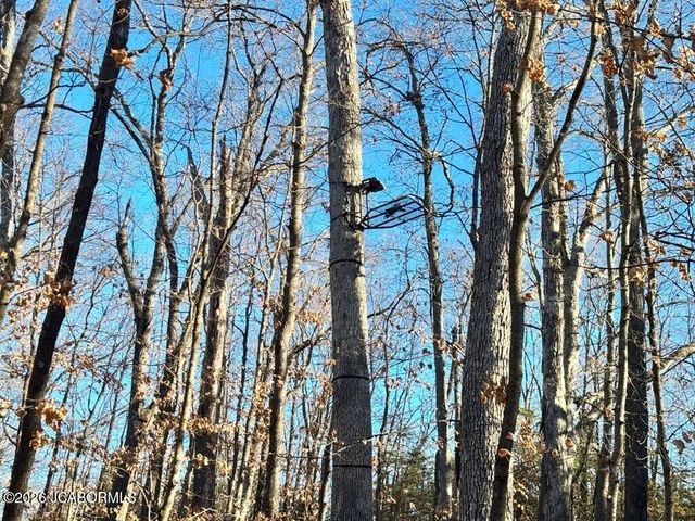 TBD DOVER DR., Holts Summit, MO 65043