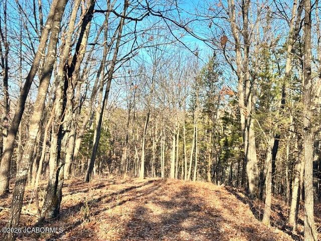 TBD DOVER DR., Holts Summit, MO 65043