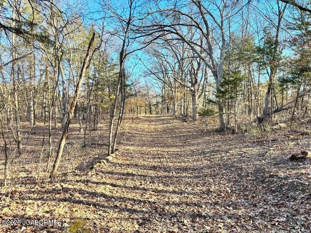 TBD DOVER DR., Holts Summit, MO 65043