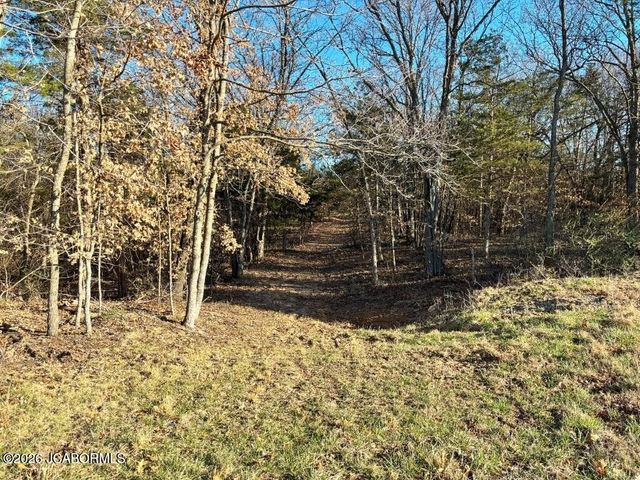 TBD DOVER DR., Holts Summit, MO 65043
