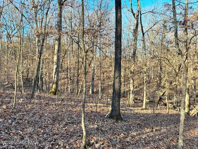 TBD DOVER DR., Holts Summit, MO 65043