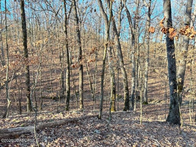 TBD DOVER DR., Holts Summit, MO 65043