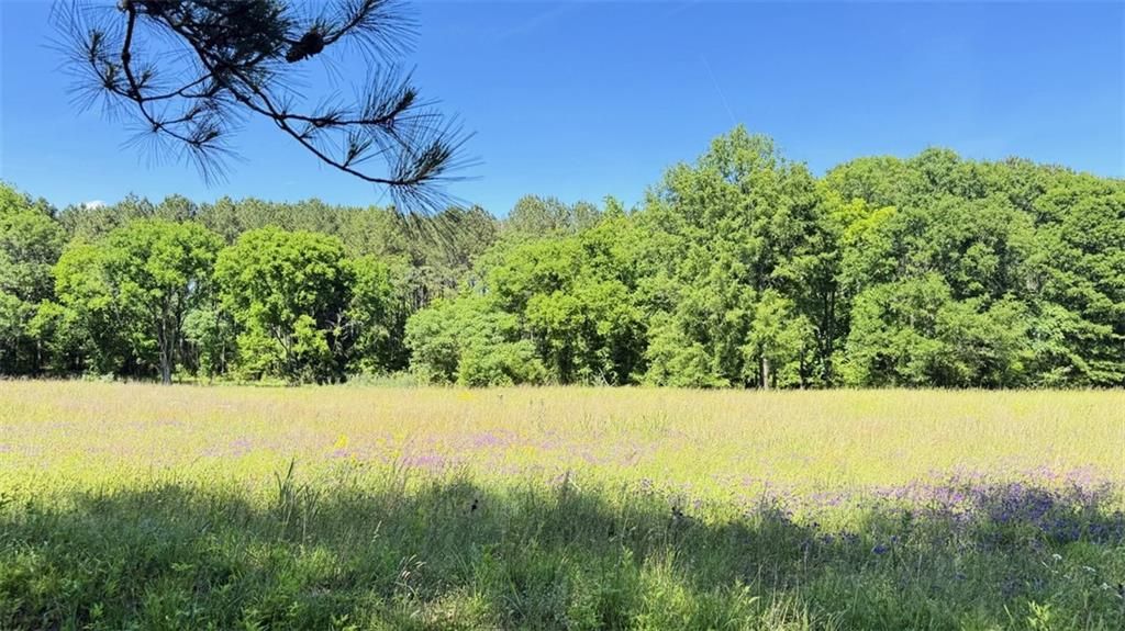 0 Bonner Lane, Buckhead, GA 30625